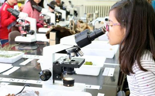 Aguas de León y Fundación Aquae fomentan las vocaciones científicas entre las alumnas de Primaria con el Programa Aquae STEM