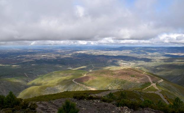 Medio Ambiente plantará en esta legislatura más de 20 millones de árboles contra el calentamiento global