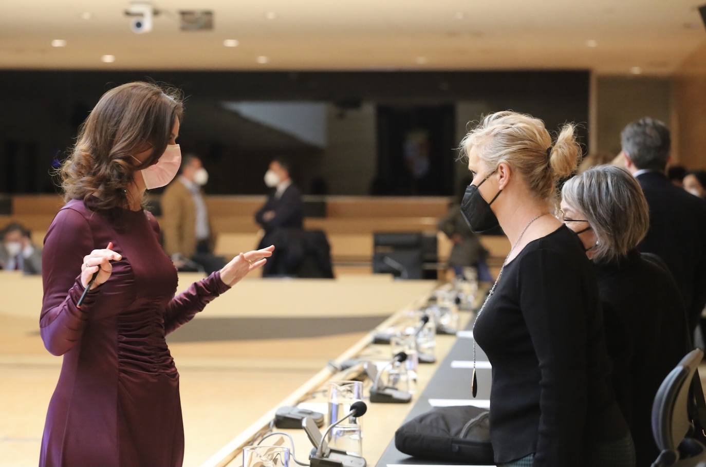 Comparecencia de la consejera de Empleo e Industria en las Cortes