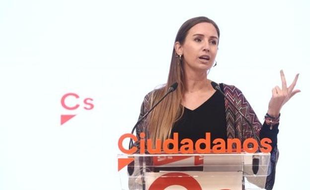 Cs tacha de «irresponsable» que el PSCyL hable en este «preciso momento» de moción de censura