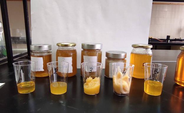 Cata de mieles de la ULE./