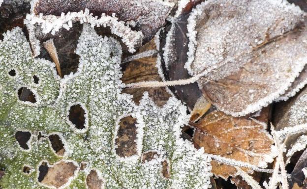 Las heladas alcanzan los 4,2 grados bajo cero en Cubillas de Rueda y Lagunas de Somoza