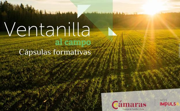 El Consejo de Cámaras pone en marcha un paquete de cápsulas formativas para que las micropymes agroalimentarias