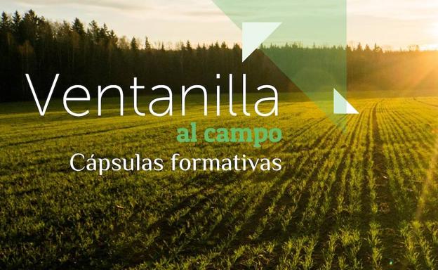 La Cámara de Comercio de Astorga desarrolla un paquete de cápsulas formativas en marketing digital para que las micropymes agroalimentarias del medio rural optimicen sus recursos