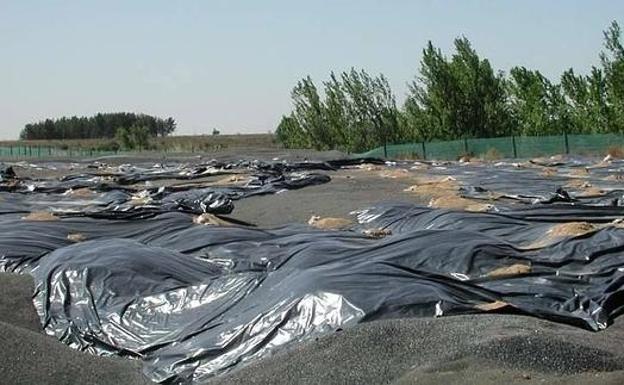 IU León considera «ridícula» la multa de 1.000 euros a RMD por no retirar residuos enterrados en Villanueva del Carnero