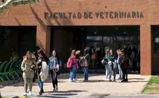 La Junta financia la actividad de la Universidad de León hasta junio con 16,3 millones de euros