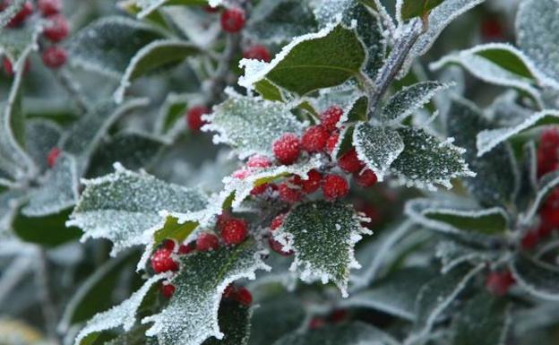 Un capítulo de frío invernal bajará el termómetro en León antes de la vuelta de la llegada de la primavera