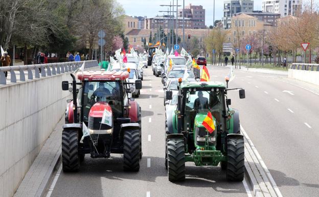 Una caravana de ganaderos toma las calles de Valladolid para exigir la retirada de la protección de lobo en todo el territorio nacional