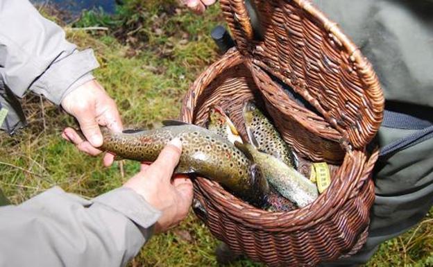 La temporada de pesca de trucha comenzará el sábado de la próxima semana en la provincia de León