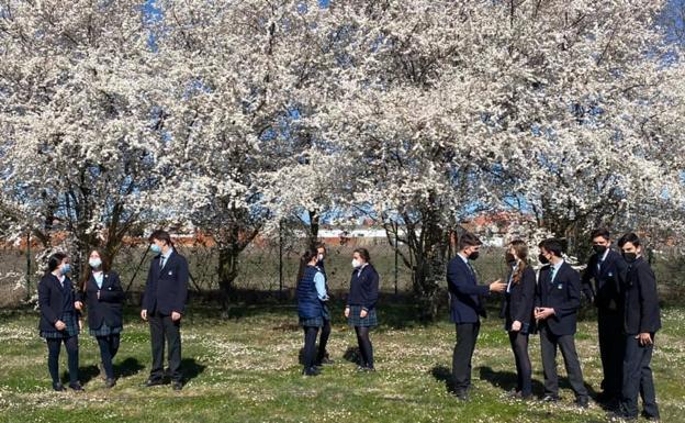 «Día de la primavera» en Peñacorada