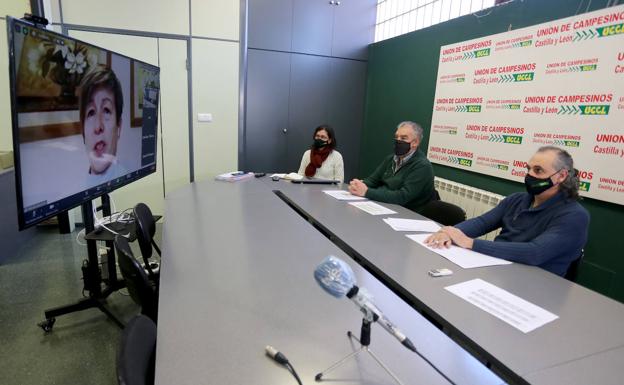 UCCL recomienda a los ganaderos de vacuno de leche firmar contratos por tres meses ante la imposición de las industrias