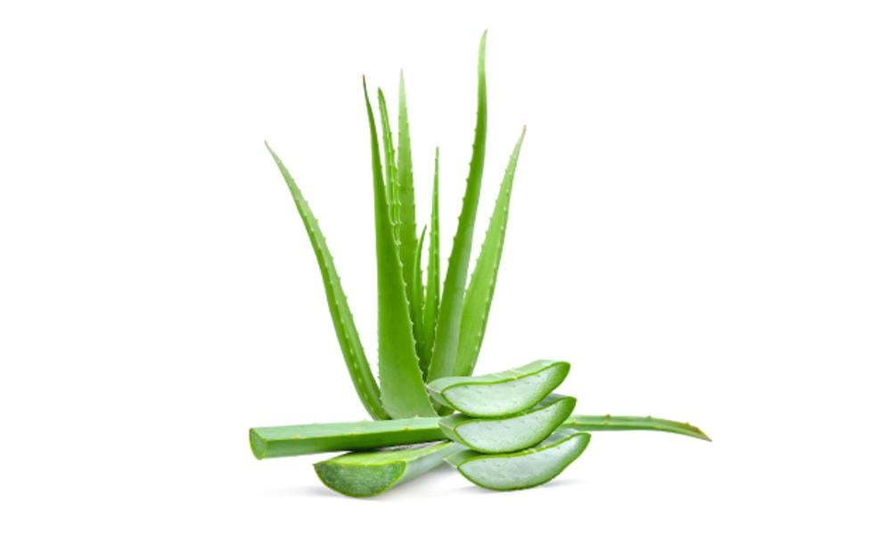 ¿Es bueno el aloe vera como alimento?