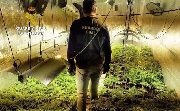 La Guardia Civil detiene a cuatro personas que cultivaban marihuana en dos plantaciones indoor en Cubillos del Sil