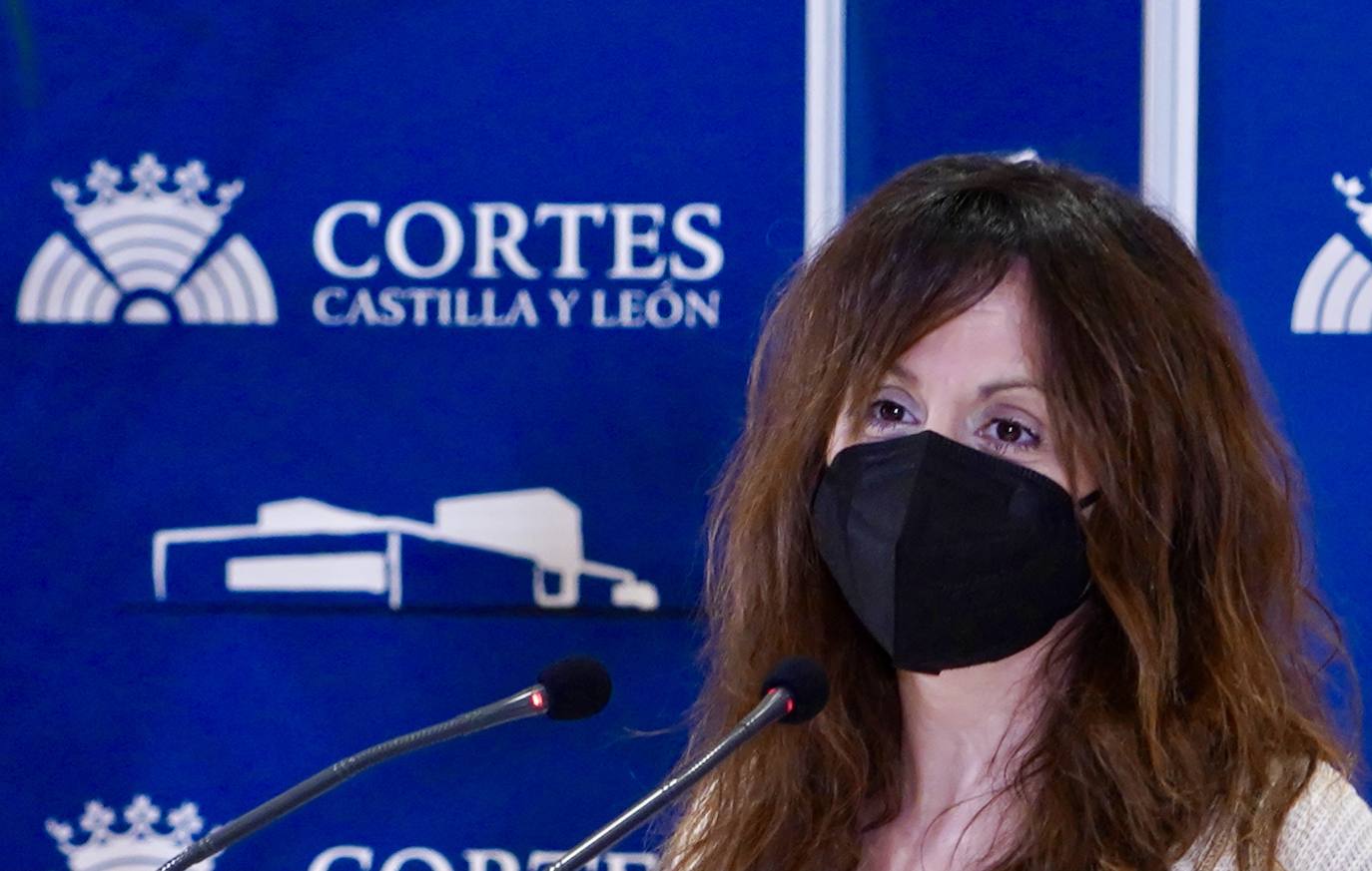 El PSOE anuncia nuevas medidas parlamentarias a raíz de la moción de censura