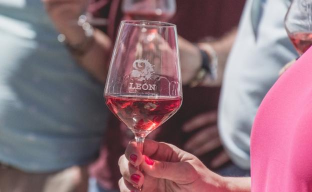 Vinduero premia a la DO León como la mejor elaboradora de vinos rosados