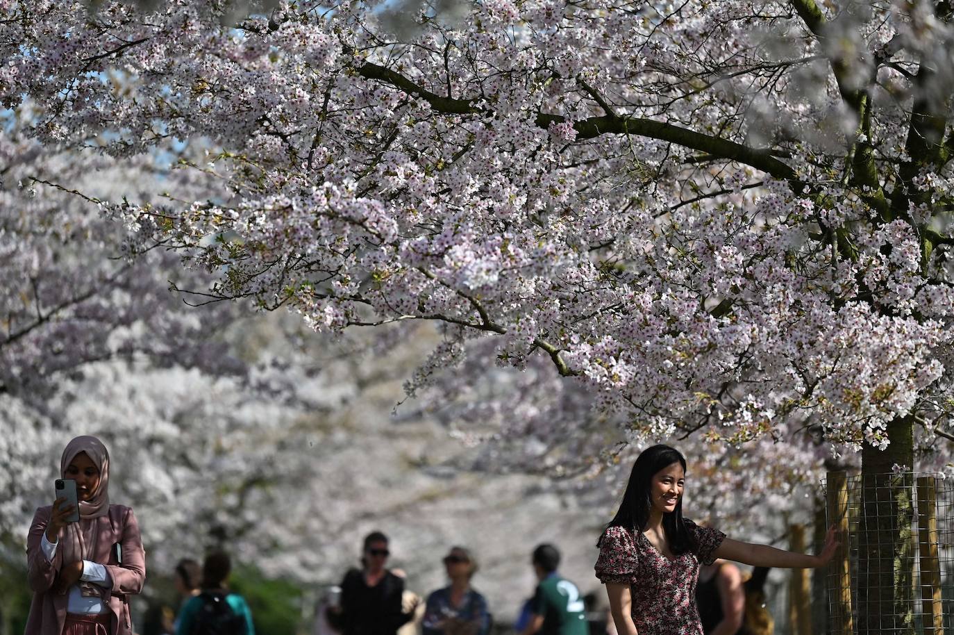 El mundo se viste de primavera. Así lucen los parques más coloridos