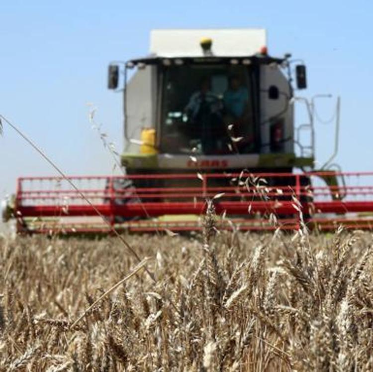 Castilla y León acoge las regiones agronómicas de secano y regadío con valores medios PAC más bajos de España