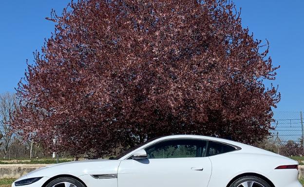 Probamos el nuevo Jaguar F-Type Coupé: atléticas prestaciones y detalles 'Limited Edition'