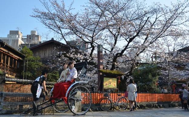 La Embajada del Japón en España busca los lugares de Castilla y León que más se asemejen a un paisaje japonés en primavera