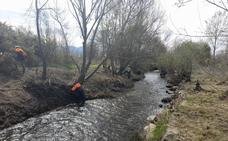 La CHMS realiza trabajos de conservación y mejora de arroyos en el municipio de Camponaraya