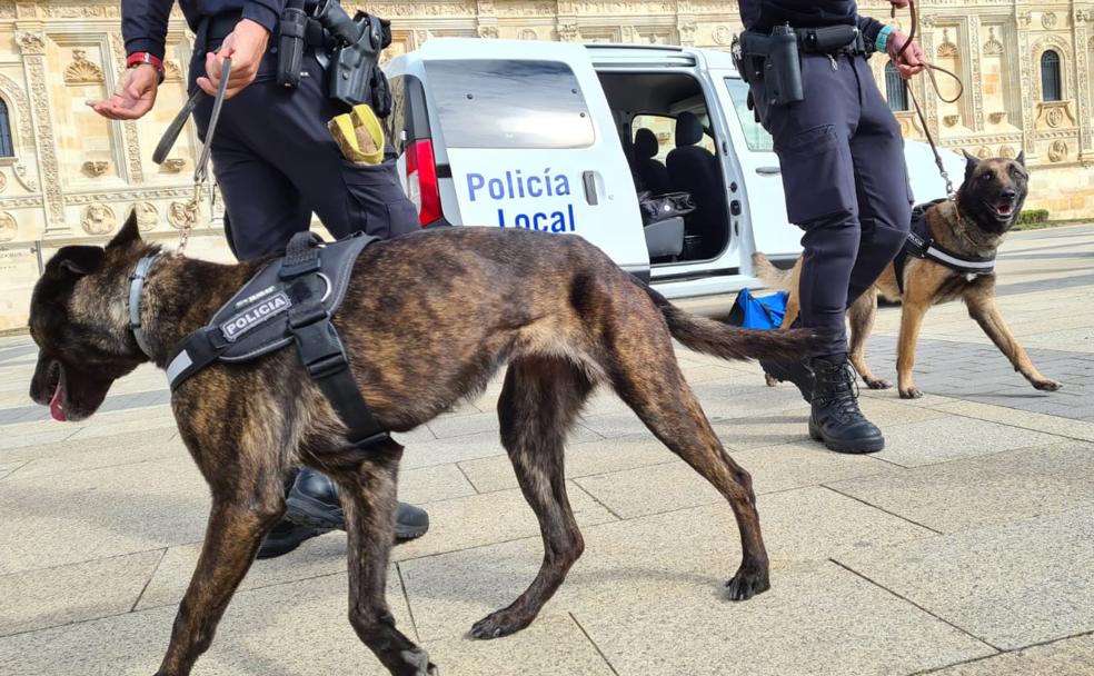 Dos policías con buen olfato