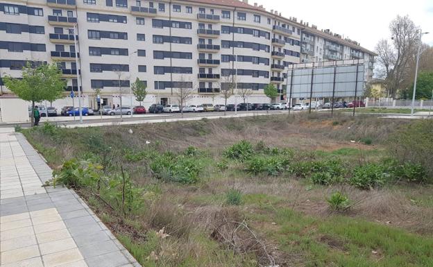 Ciudadanos exige un plan de limpieza de los solares abandonados