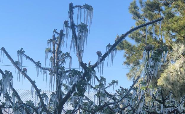 San Isidro alcanza los 5,7 grados bajo cero, una de las temperaturas más frías del país