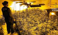 Detienen a una persona por una indoor de marihuana con 150 plantas en Pobladura de Pelayo García