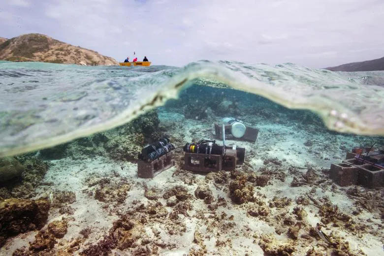 Científicos que luchan contra el cambio climático bajo el mar