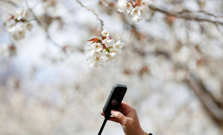 El mundo se viste de primavera