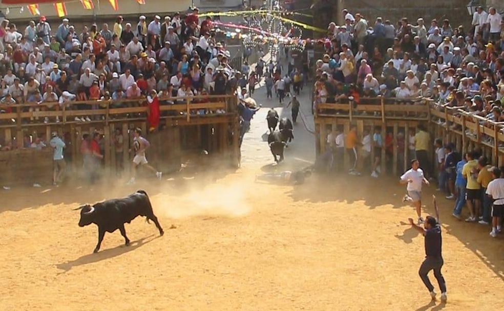 Fermoselle: afición taurina y gastronomía