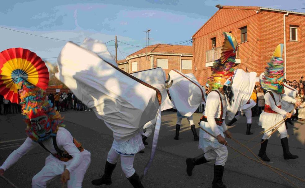 Cimanes del Tejar: los Antruejos como forma de vida