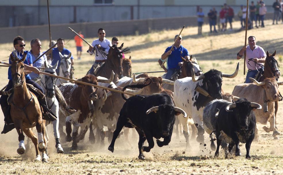 Fuentesaúco: cuatro siglos de espantes y una rica Semana Santa