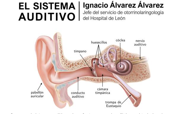 El Museo de la Siderurgia y la Minería de Sabero enseña la anatomía del minero