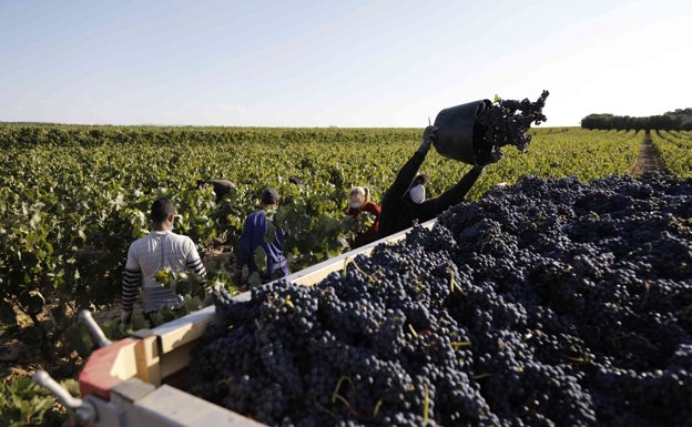 Un tercio de los parados en el sector agrario son extranjeros