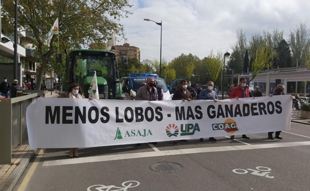 Asaja, COAG y UPA acusan a Ribera de incumplir y piden la retirada del proyecto de protección del lobo