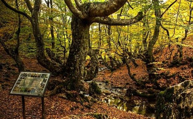 La Reserva de la Biosfera Alto Bernesga recibe el Premio Conama 2020 a la sostenibilidad de pequeños y medianos municipios