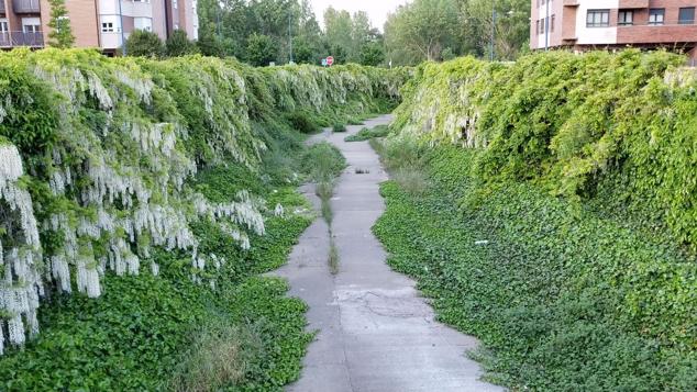 El jardín oculto de León