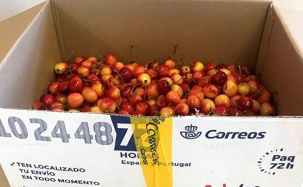 Correos pone en marcha la campaña especial para el envío de cerezas en El Bierzo y Villablino