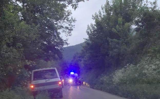 Grave ataque de un oso a una mujer de 75 años en Cangas del Narcea