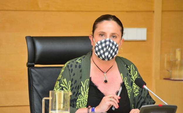 El PSOE insta a la Junta a publicar anualmente y de forma provincializada los casos de acoso escolar