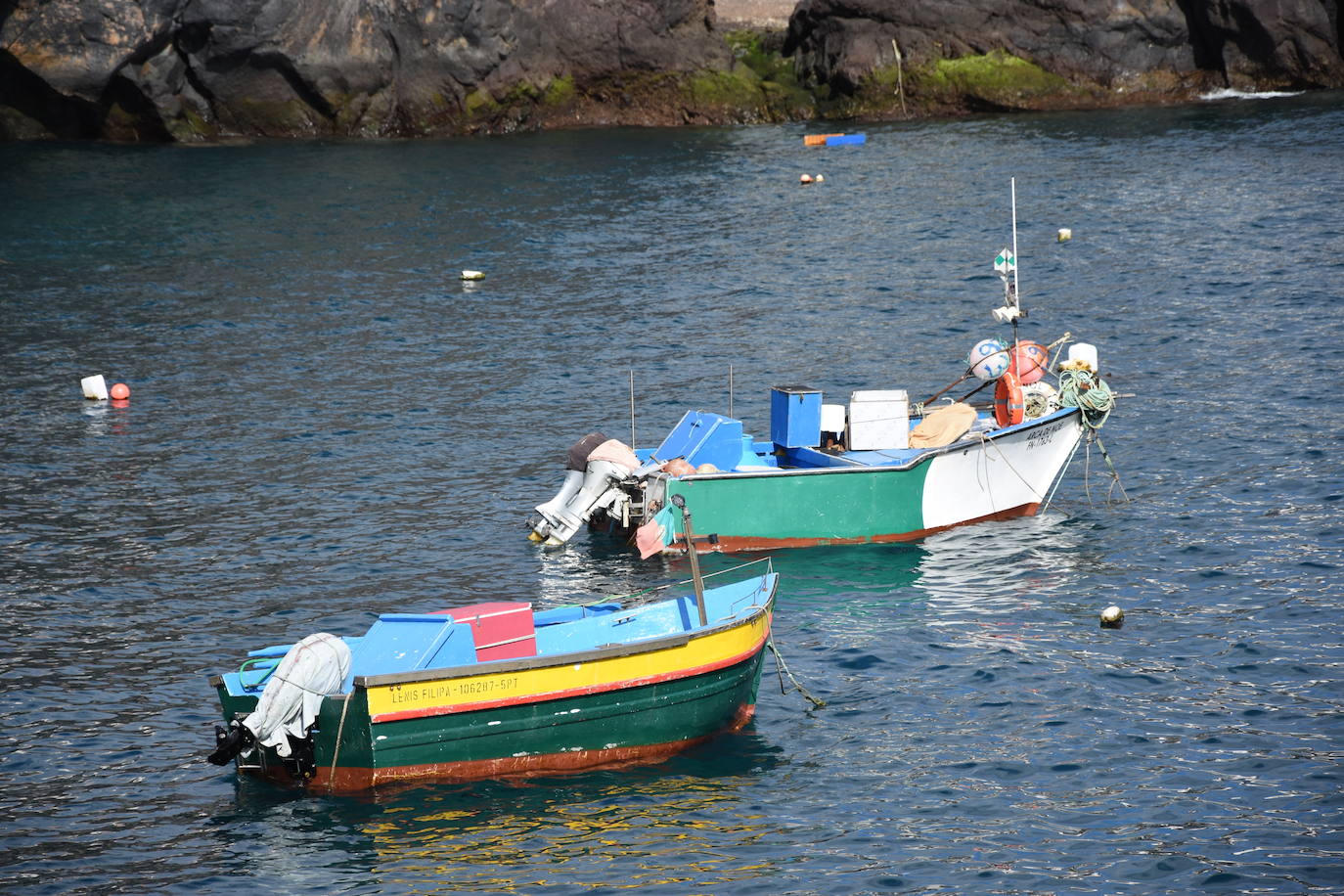 La búsqueda de las focas monje en Madeira