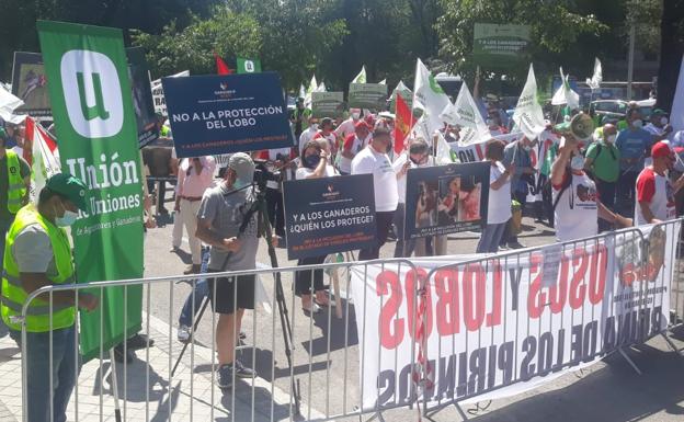 Una treintena de colectivos se manifiestan en Madrid para exigir que se retire la protección especial al lobo