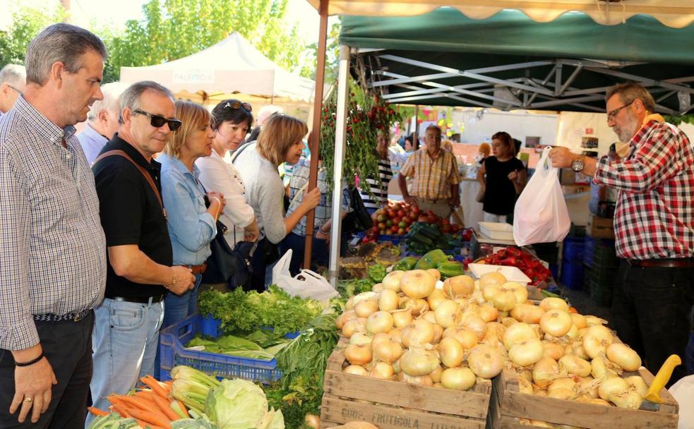 Palenzuela: la cebolla horcal traspasa los límites de la huerta