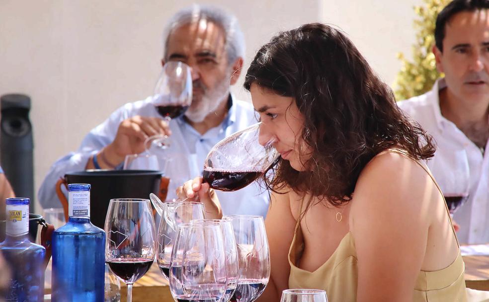 Los vinos de León vuelven a ser 'excelentes' por tercer año consecutivo