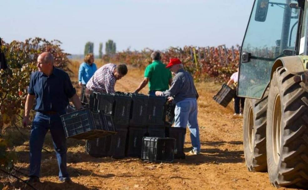 Melgar de Abajo: de la vendimia y la labranza a las dianas y desfiles