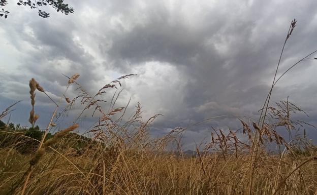 Aviso naranja en León y amarillo en gran parte de la comunidad por tormentas