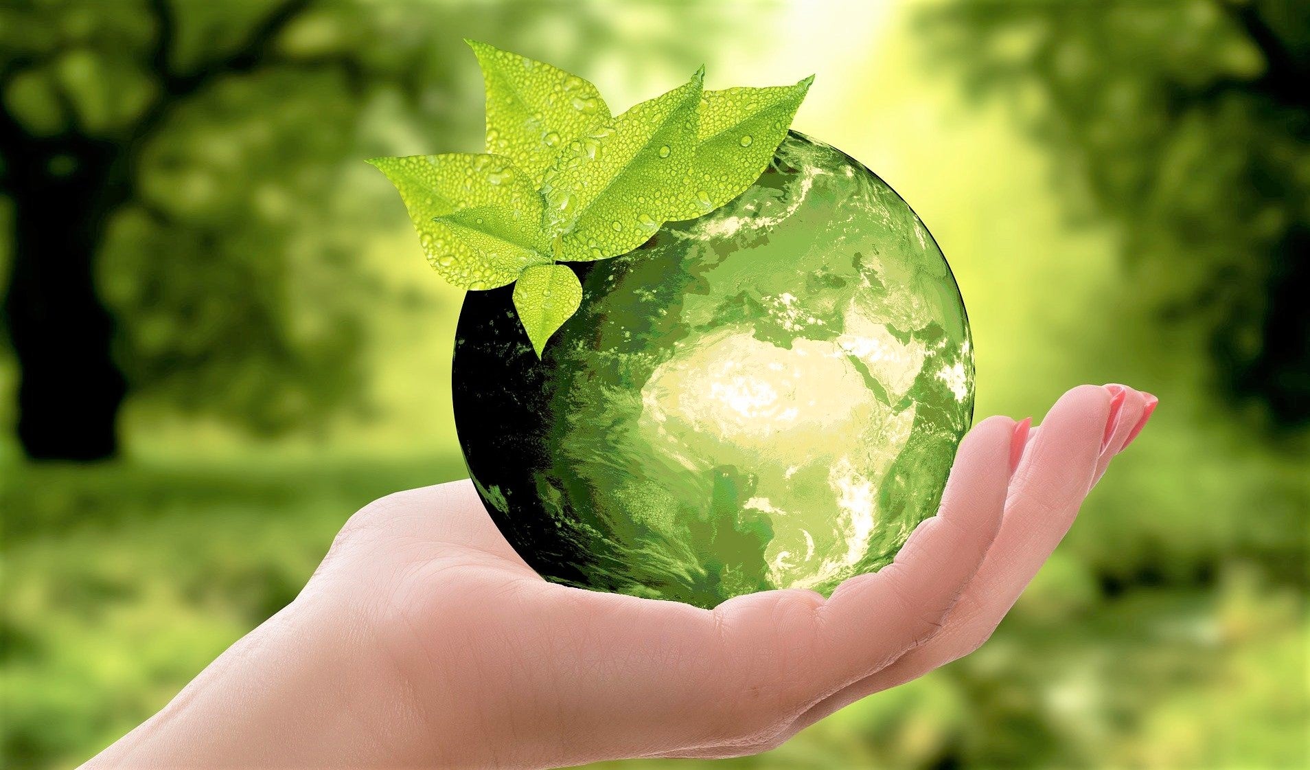 La economía circular centra el curso estival online de la ULE en julio