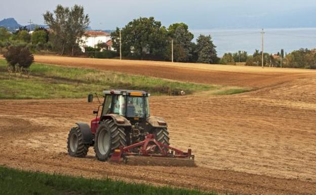 La siembra directa sigue ganando peso en Castilla y León tras aumentar casi un 20% en los dos últimos años