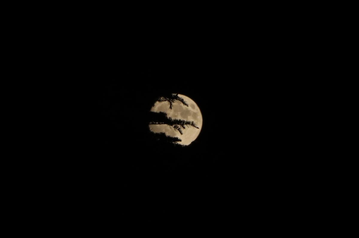 Superluna de fresa en León